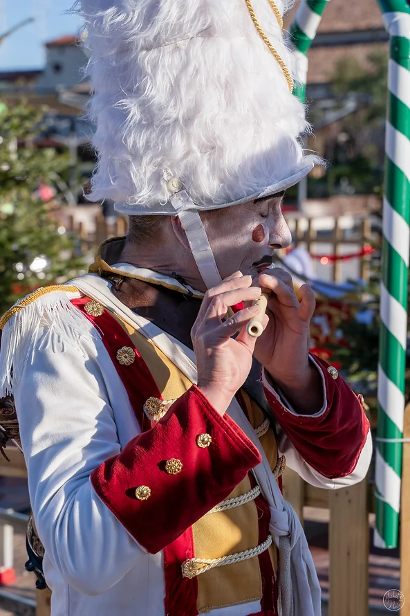 Les Hussards de Noel – photo 1