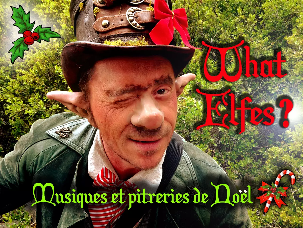 What Elfes – photo 6