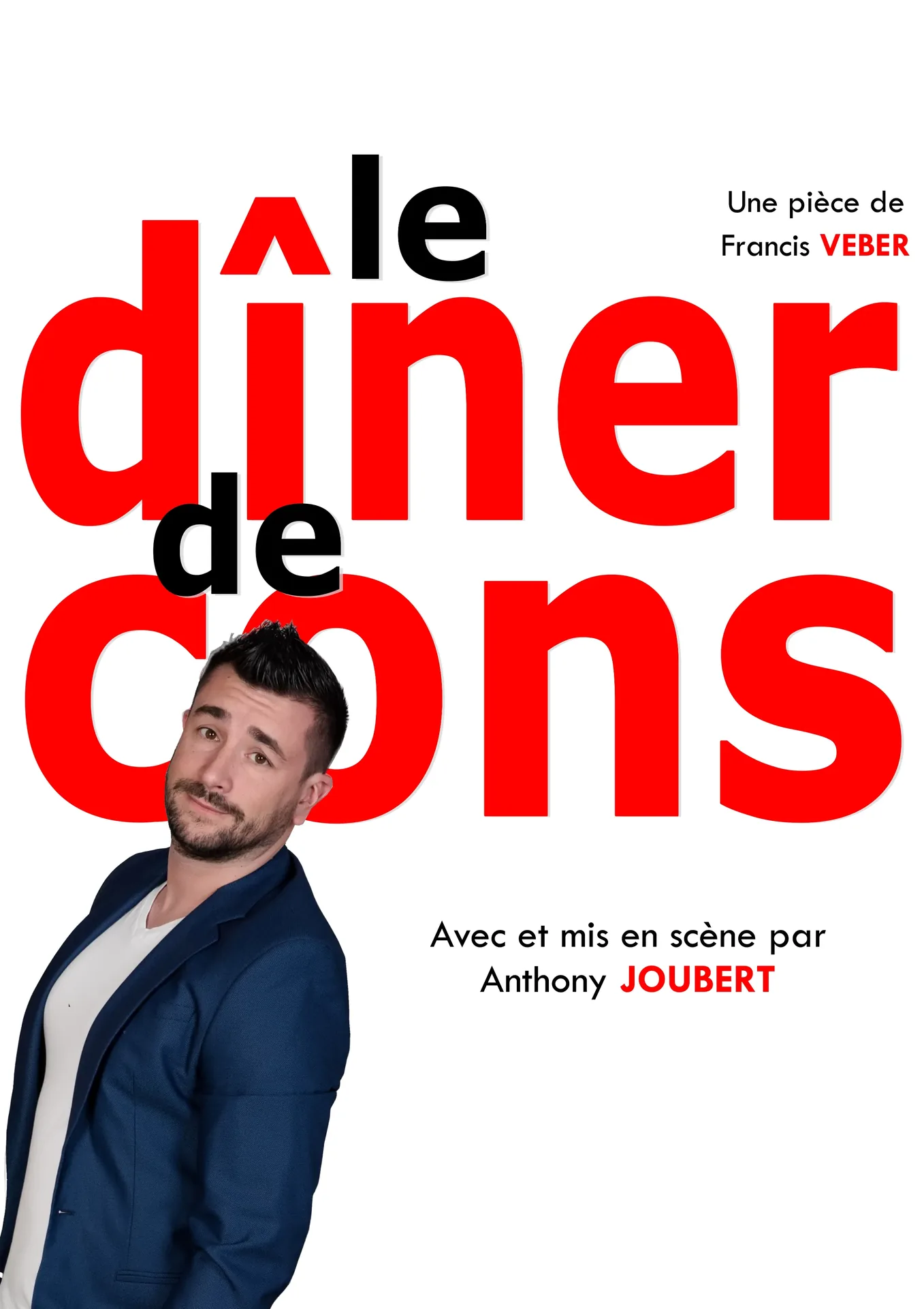 spectacle theatre le diner de cons